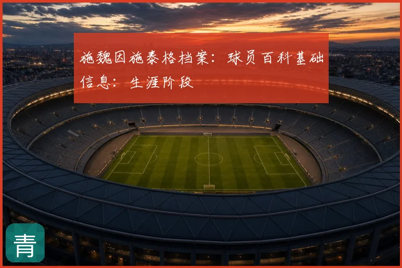 施魏因施泰格档案：球员百科基础信息：生涯阶段